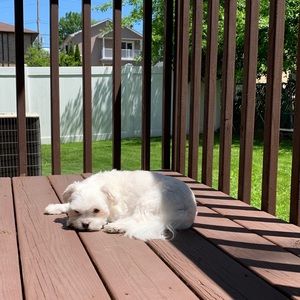 Meet your Posher, Solji